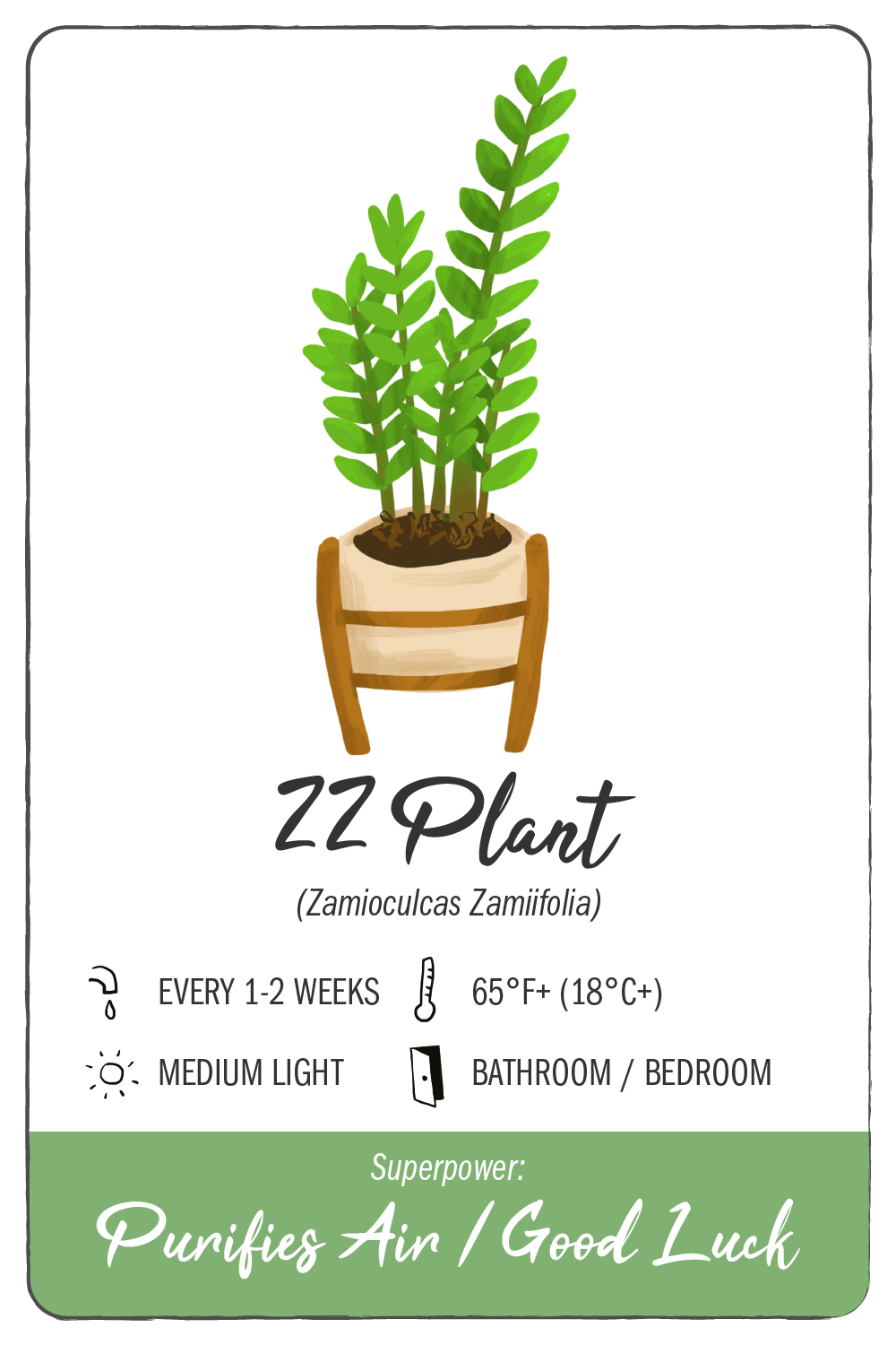 Houseplants with Superpowers - Climadoor